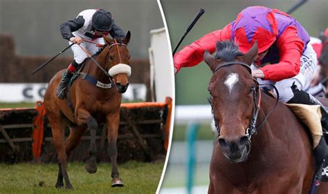 horse racing results lingfield